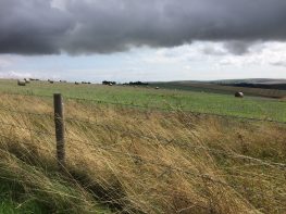 South Downs Way Ditchling Beacon