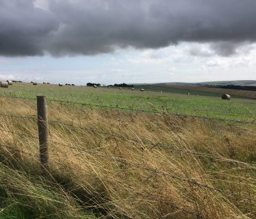 South Downs Way Ditchling Beacon