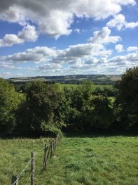 South Downs Way Beacon Hill