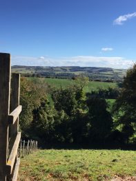 Views of Exton from Beacon Hill