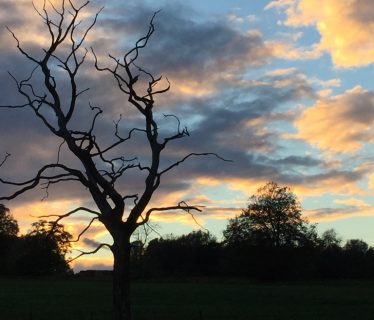 Sunset past Holden Farm