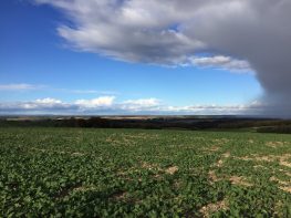 Very British Weather: Chilcomb to Cheesefoot