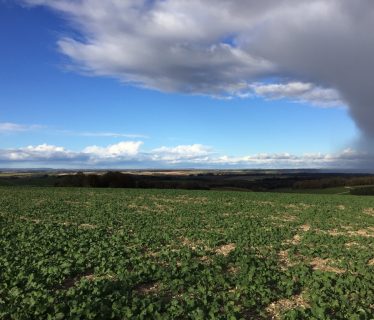 Very British Weather: Chilcomb to Cheesefoot