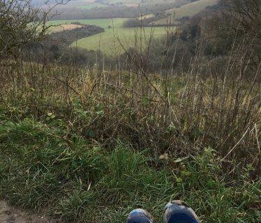 View from Old Winchester Hill