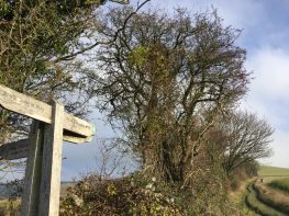 Meon Valley Footpath. South Downs Way