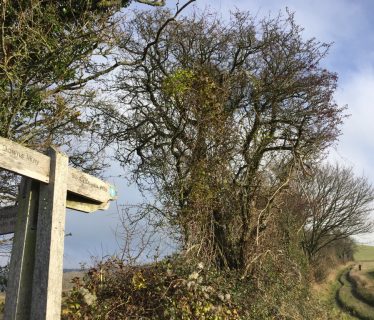 Meon Valley Footpath. South Downs Way