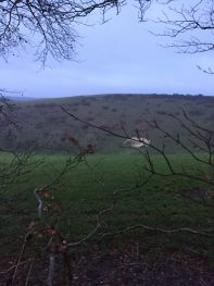 View of Chalk Hills on South Downs climb