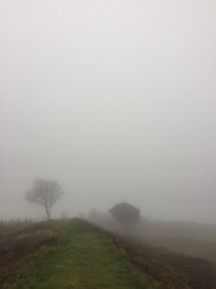 A foggy day on Butser Hill