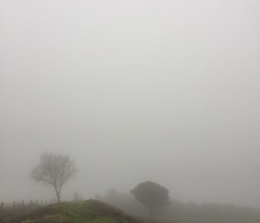 A foggy day on Butser Hill