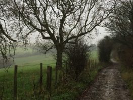 Rainy path on the ridge of the south downs