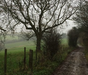 Rainy path on the ridge of the south downs