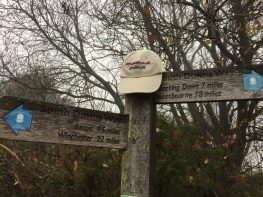 22 miles completed of my walking challenge