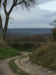 Lunch stop on a lovely lane