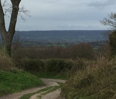 Lunch stop on a lovely lane