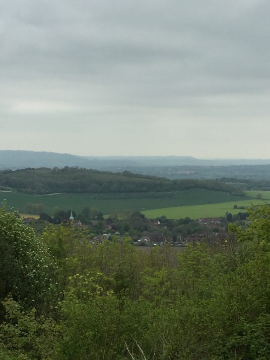 View over Harting SDW