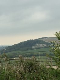 Views of Cocking Hill