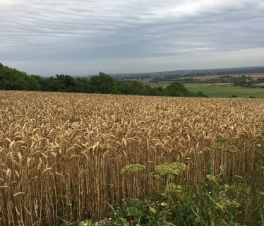 Down the hill towards Amberley