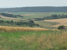 Perfect lunchspot as I approach Steyning