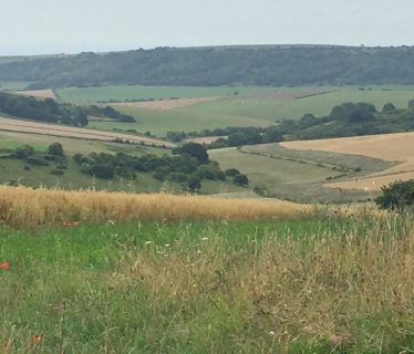 Perfect lunchspot as I approach Steyning