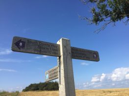 Just past half-way on the SDW