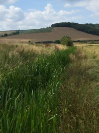 The valley at Amberley