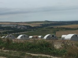 Pig Farms near Botolphs
