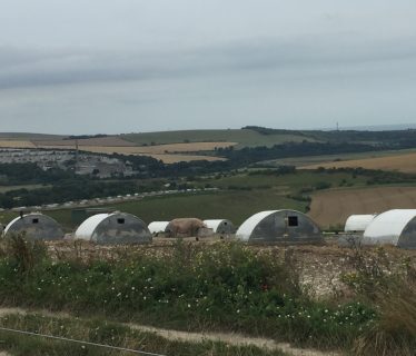 Pig Farms near Botolphs