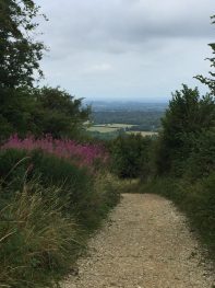 Path up from Washington
