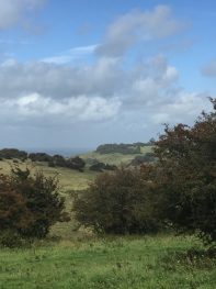 Views across Devils Dyke
