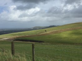 Edburton Hill and Fulking Escarpment