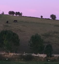 Housedean Farm sunset
