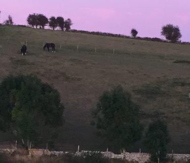 Housedean Farm sunset