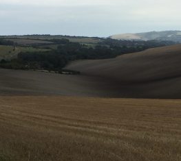 Brown fields climbing Swanborough Hill