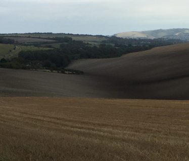Brown fields climbing Swanborough Hill