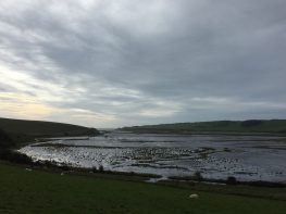 Exceat – breathtaking view