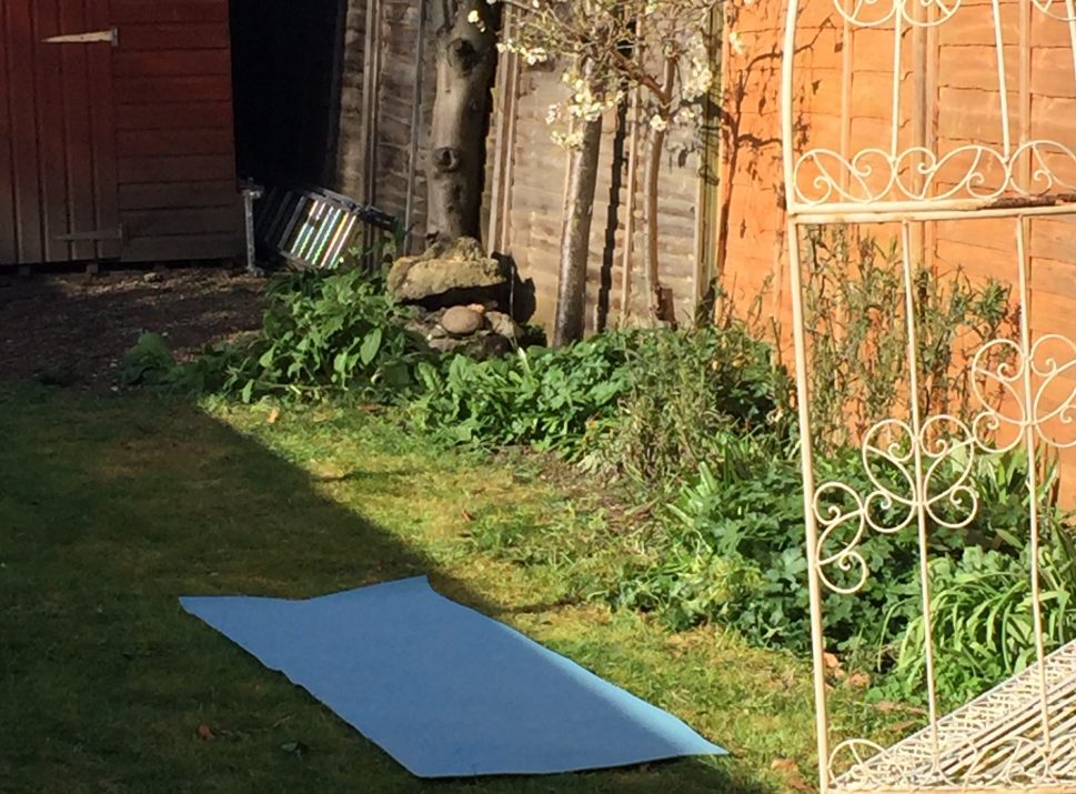 yoga mat in jills garden