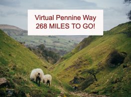 Lockdown Walking Challenge: little and often on the virtual Pennine Way