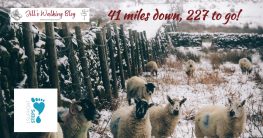 Winter walks & wobbly hips